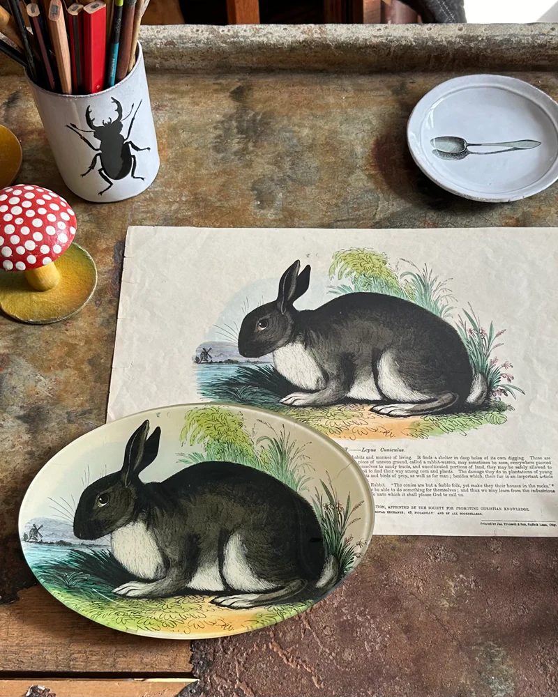 Welcome to Our Store