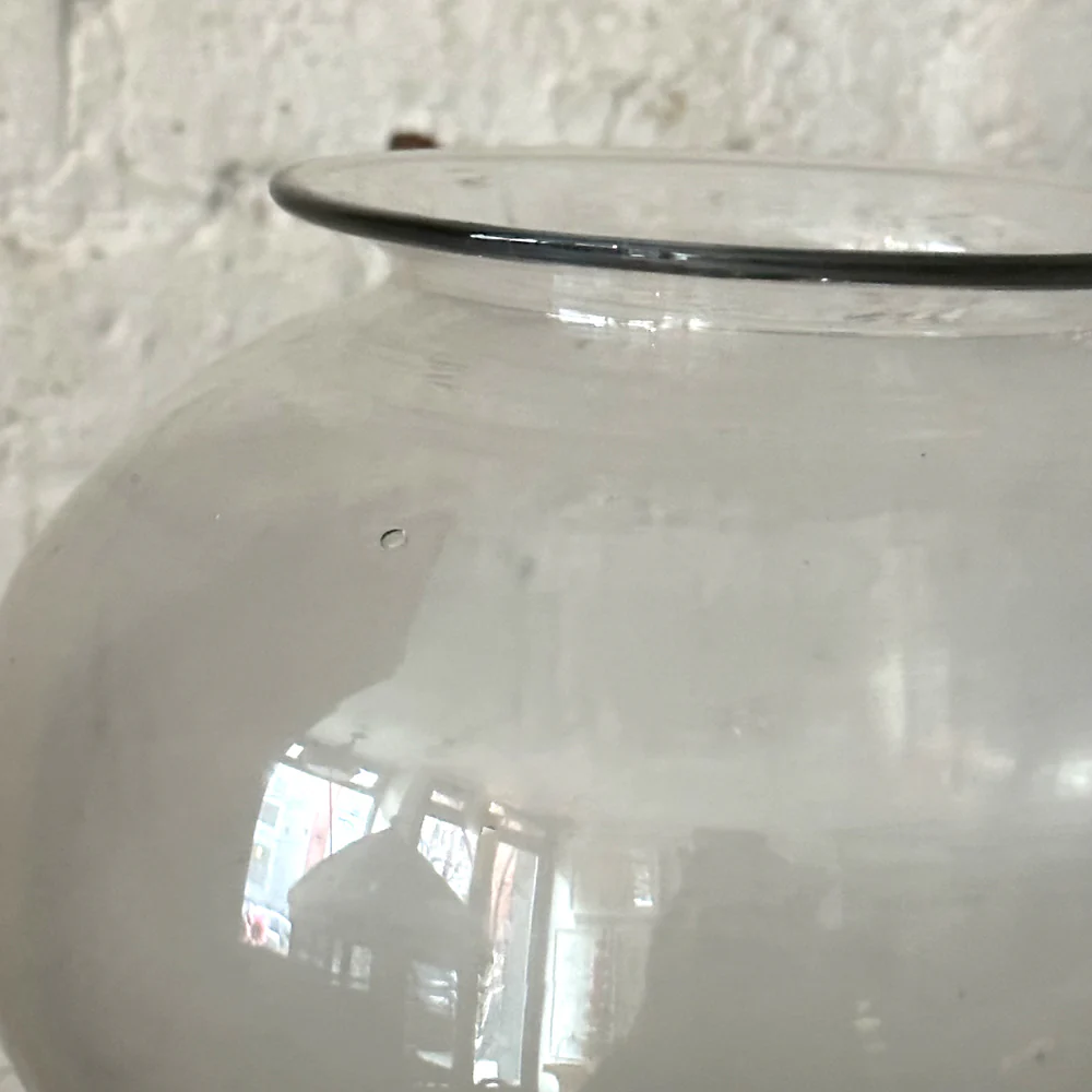 19th-century French Leech Jar (#233) - Image 4