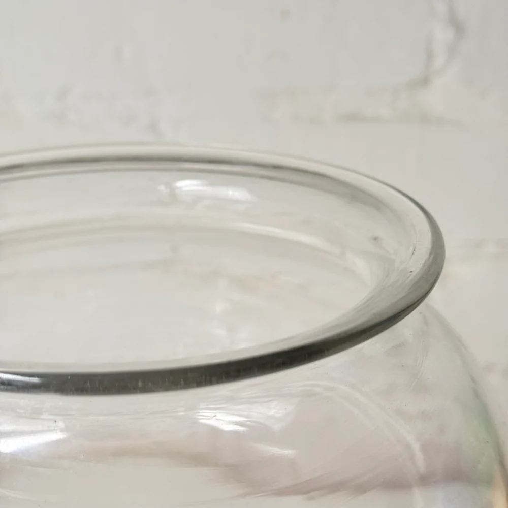 19th-century French Leech Jar (L-33) - Image 4