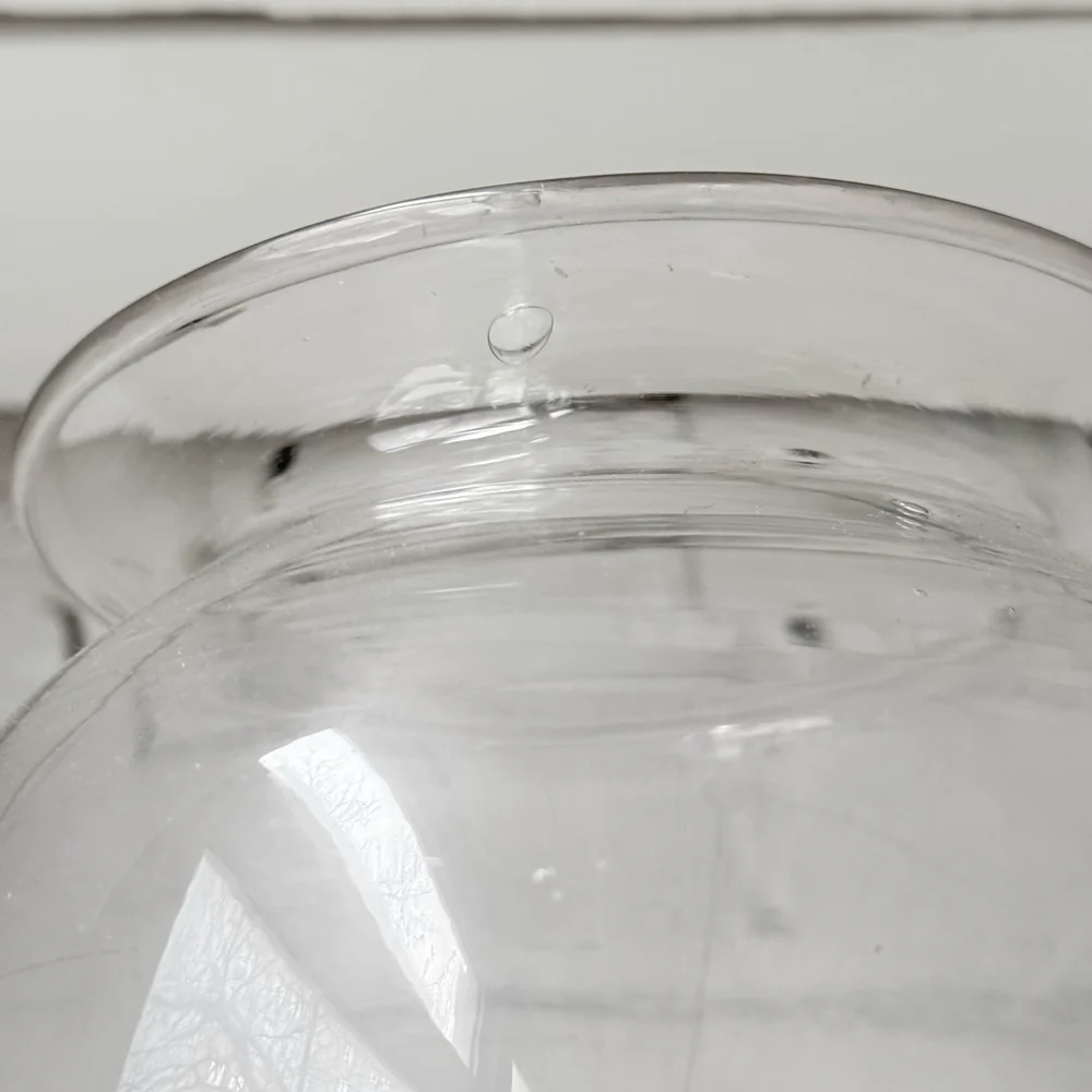 19th-century French Leech Jar (L-34) - Image 5