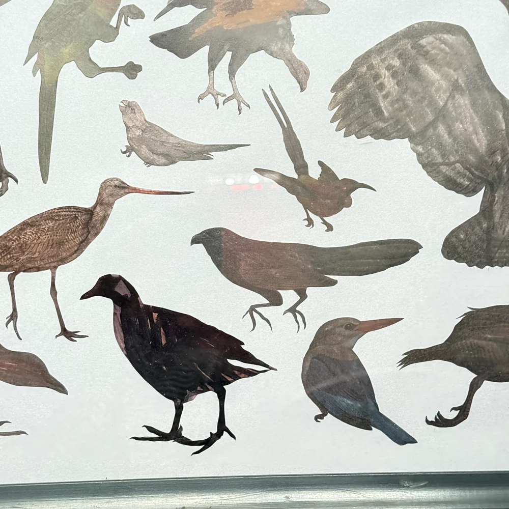 Framed Mike Miller Bird Silhouette Collage - Image 6