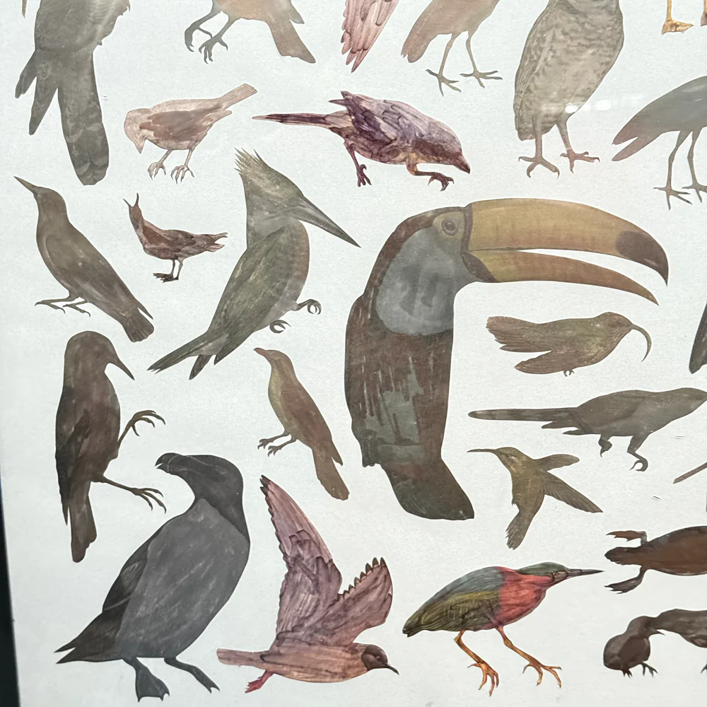 Framed Mike Miller Bird Silhouette Collage - Image 7